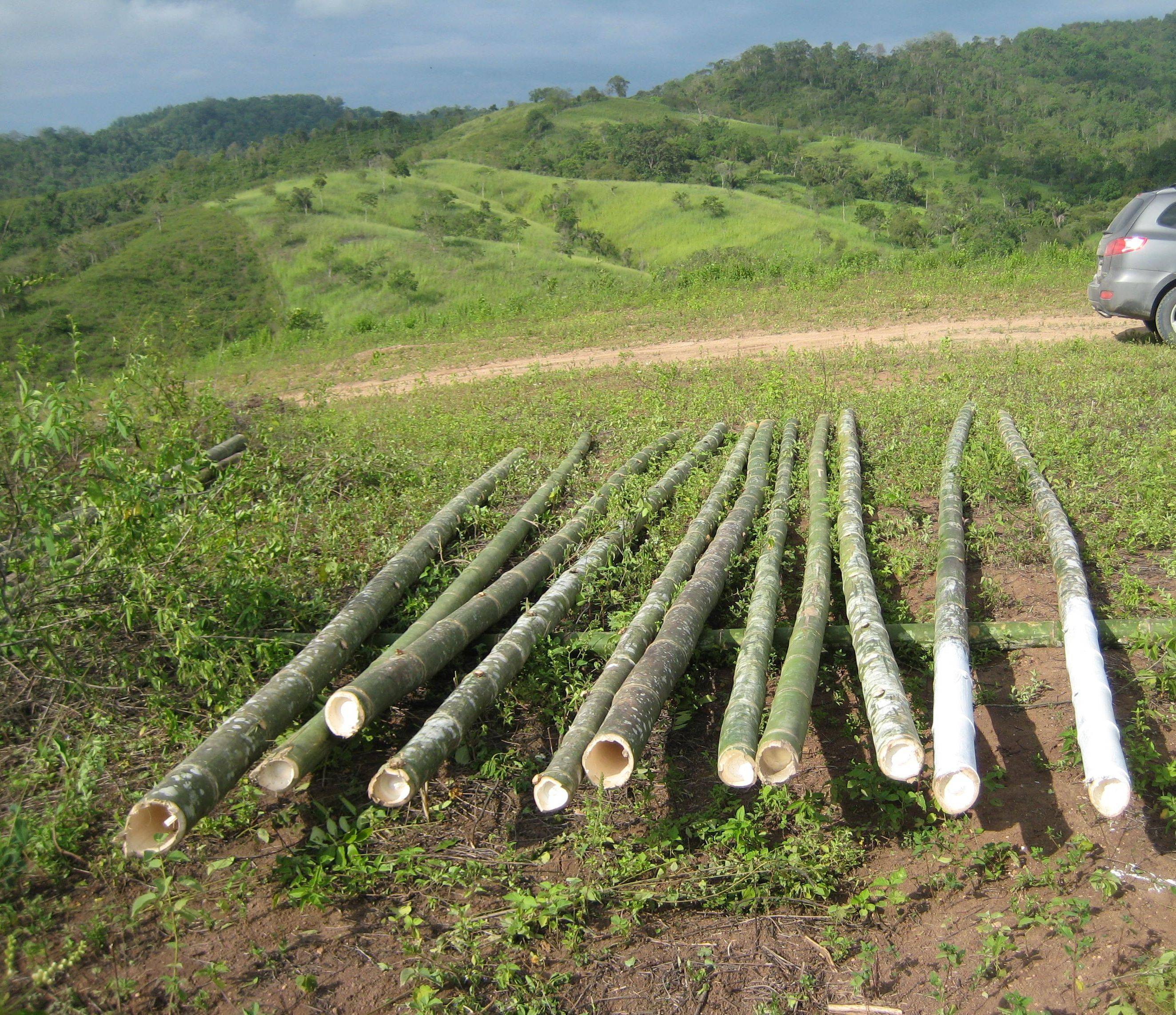 Land for Development Olon, Guayas, Ecuador Land For Sale (MD542888